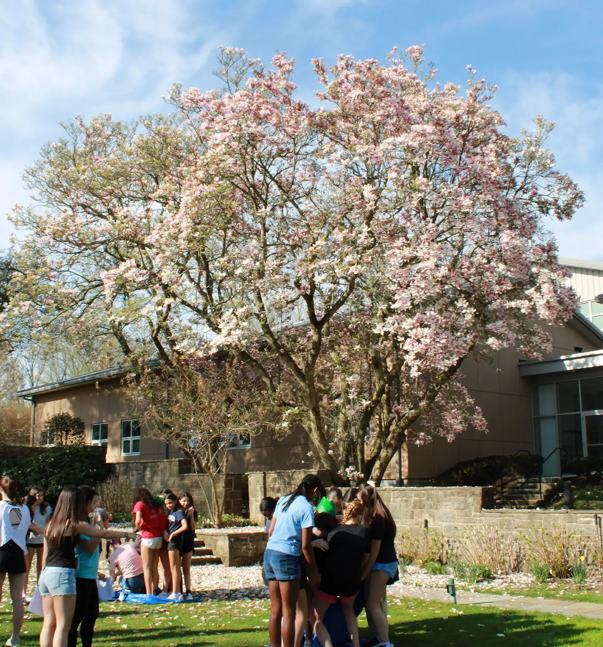 Holy Child girls participating in a class retreat outdoors.